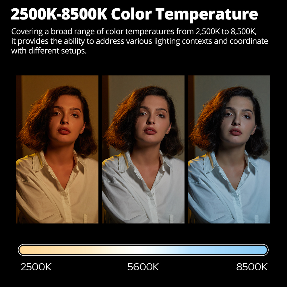 S2e302bc7b52146759f3a6c460c242a65Y-1