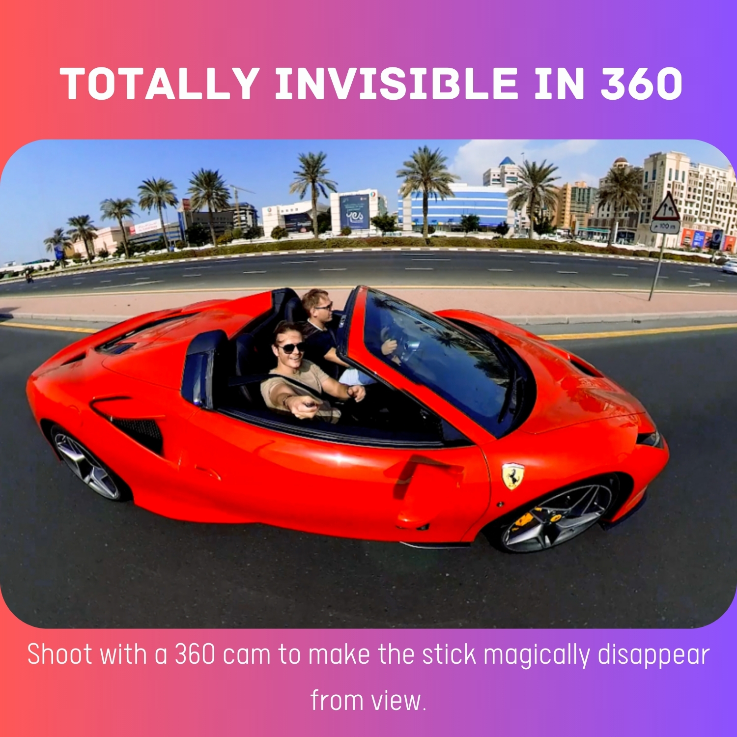 S776aa6adbd9a4f9fb37895db8178281eX-1