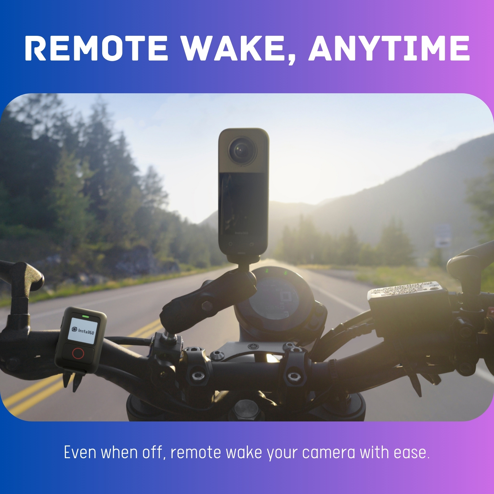 Saae271239caf4608ba9066dc6f273513y