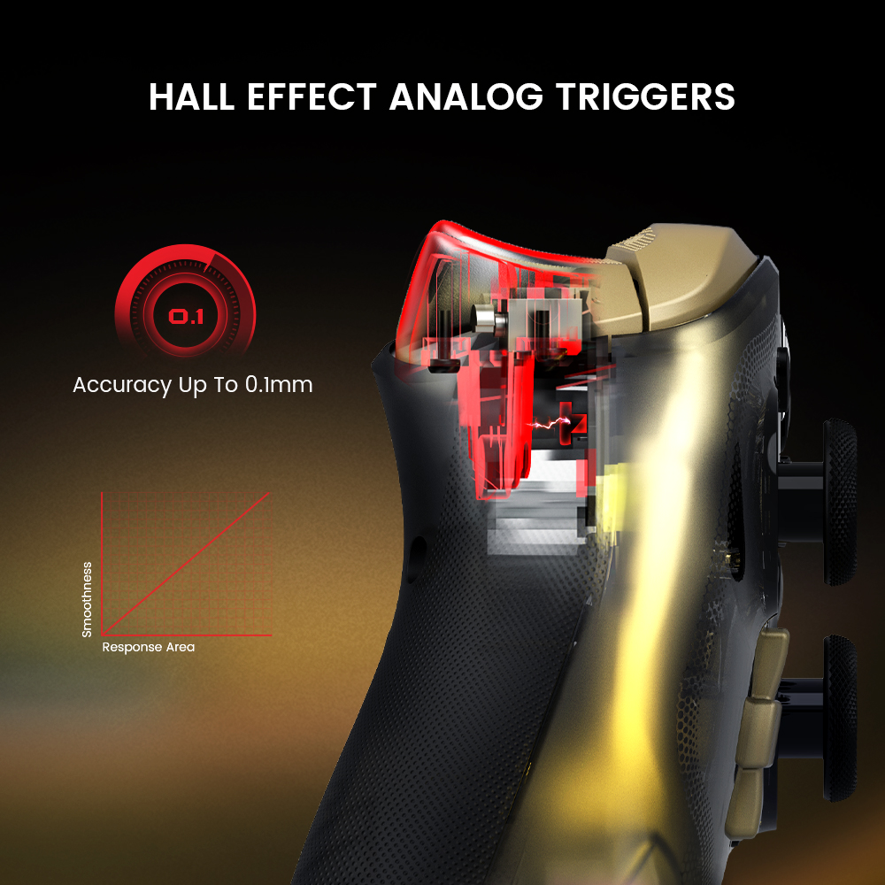 Sc2e950b0bbbe46edaf00881683c3057fT-2